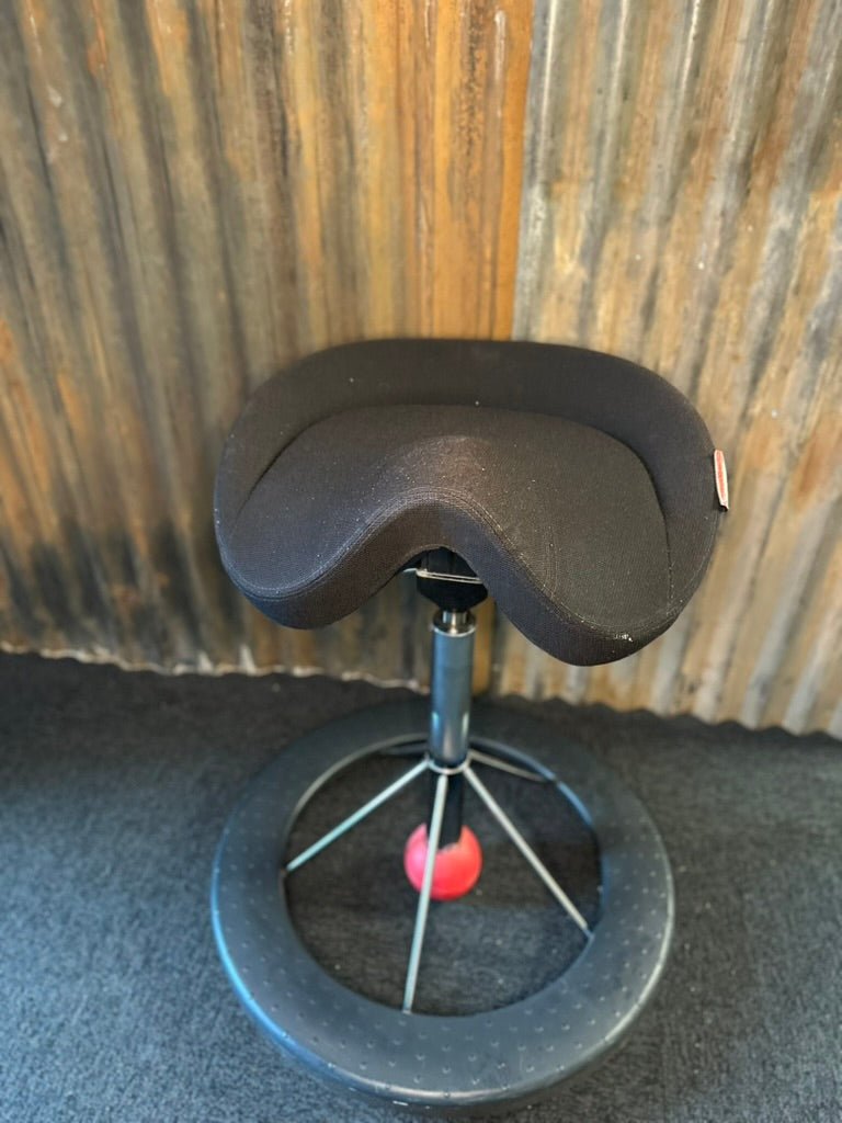 Backapp Smart Ergonomisk Balancestol - A New Story