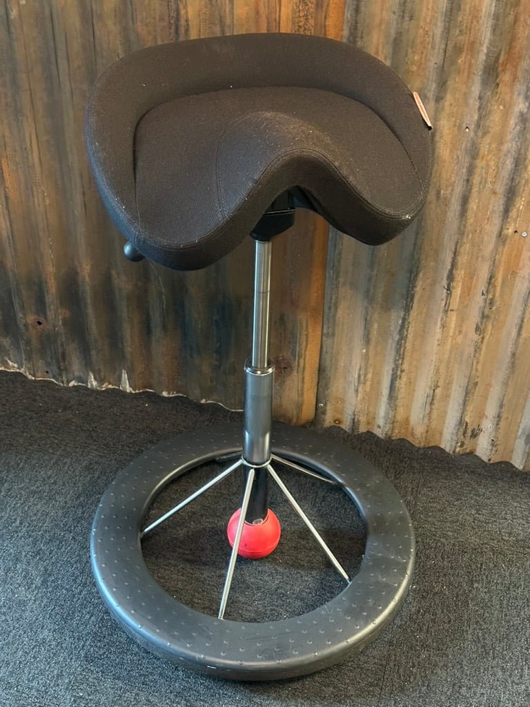 Backapp Smart Ergonomisk Balancestol - A New Story